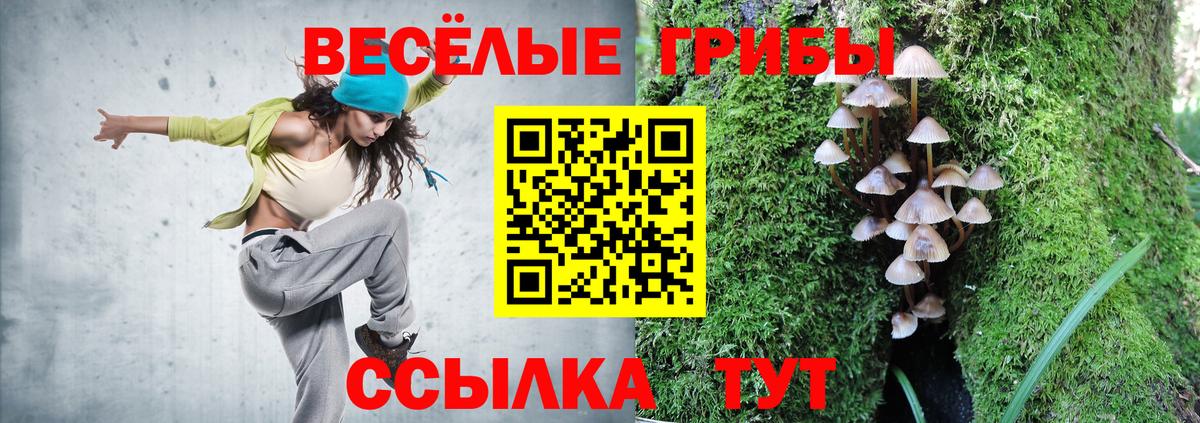 Псилоцибиновые грибы мухоморы Камышлов