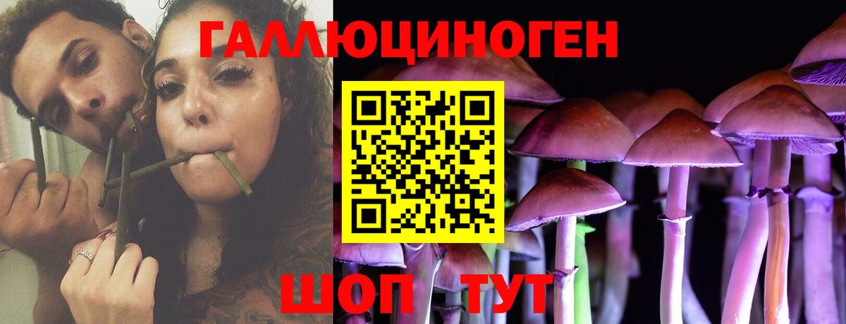 где можно купить наркотик  Вход с VPN  Камышлов  Галлюциногенные грибы MAGIC MUSHROOMS 