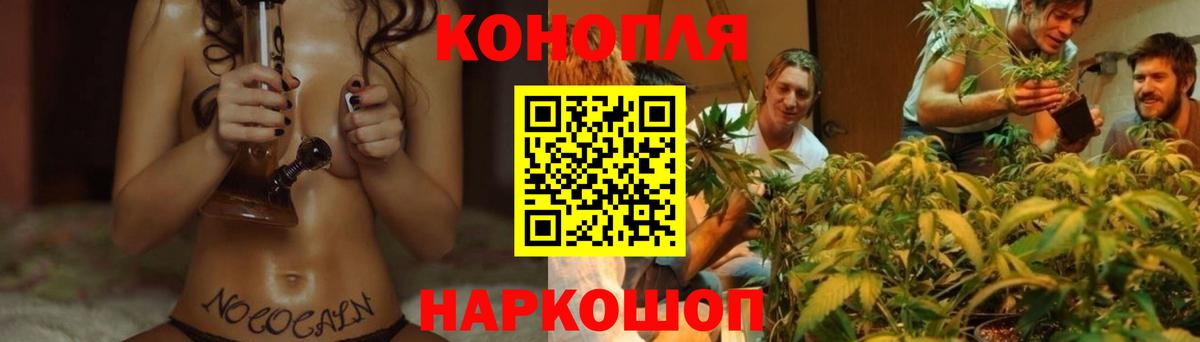 Бошки Шишки Ganja  Канабис White Widow  Камышлов  Вход с VPN 